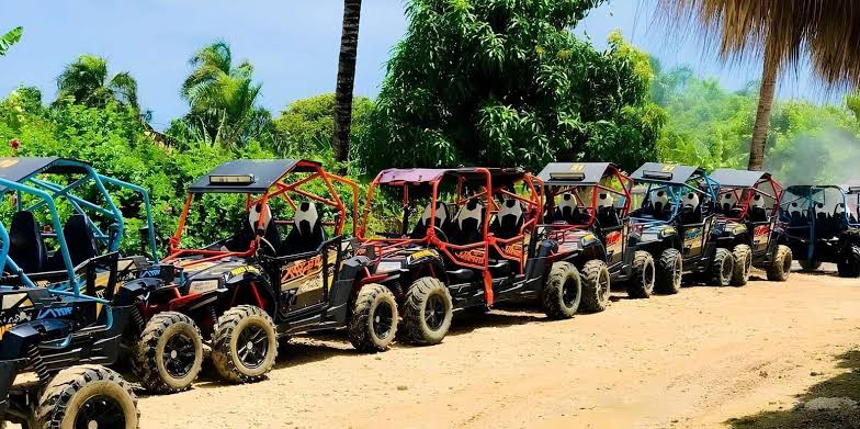 Buggy Adventure 6