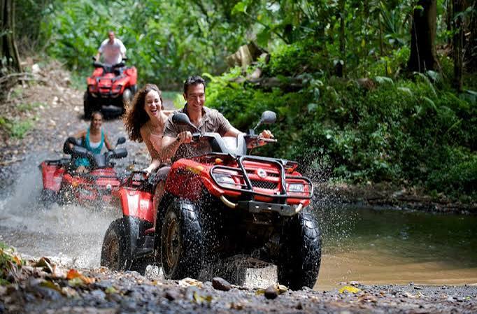 Four-Wheeler Adventure 1