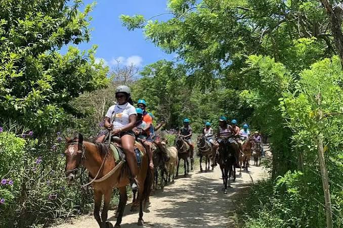 Horseback Riding 2