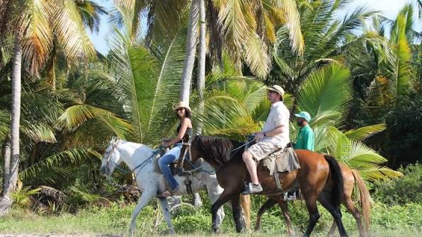 Horseback Riding 3