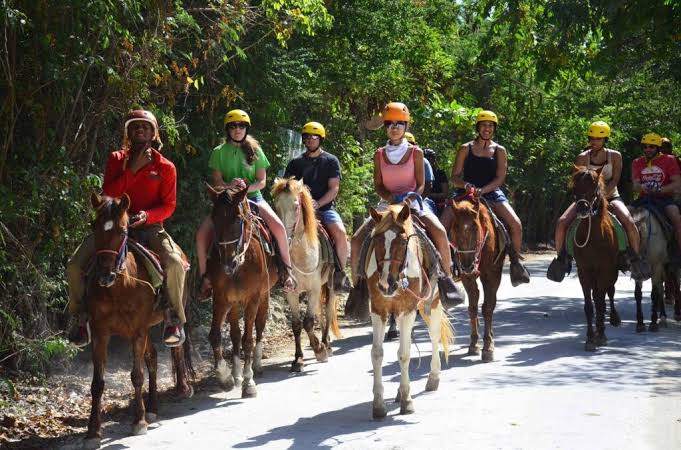 Horseback Riding 4