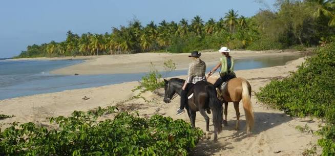 Horseback Riding 5