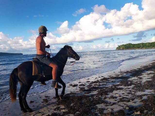 Horseback Riding 6