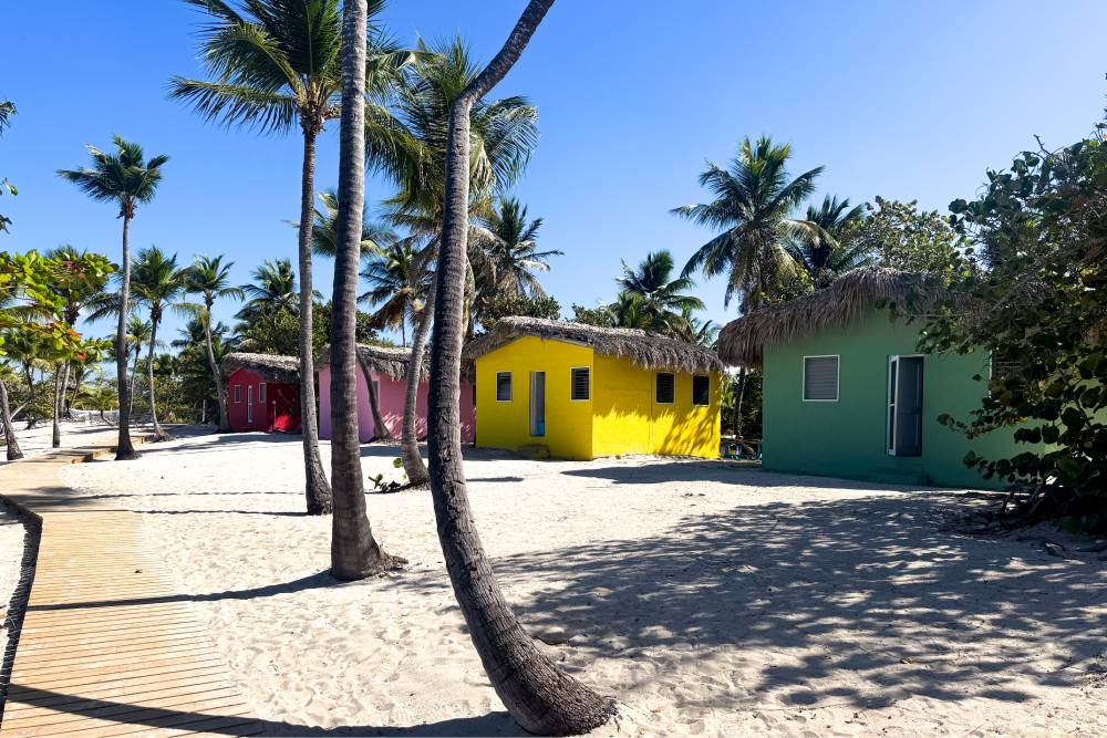 Isla Catalina image 3