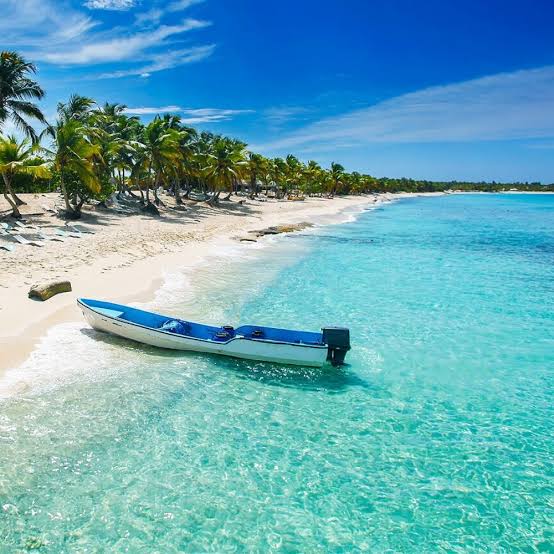 Isla Catalina image 4