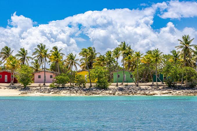 Isla Catalina image 5