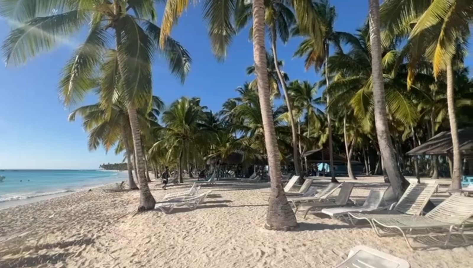 Isla Saona image 2
