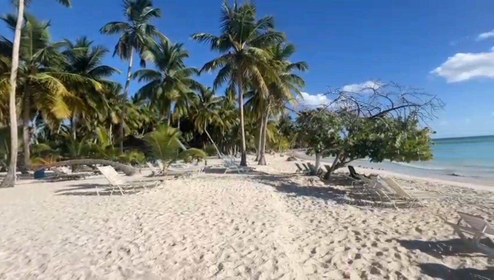 Isla Saona image 4
