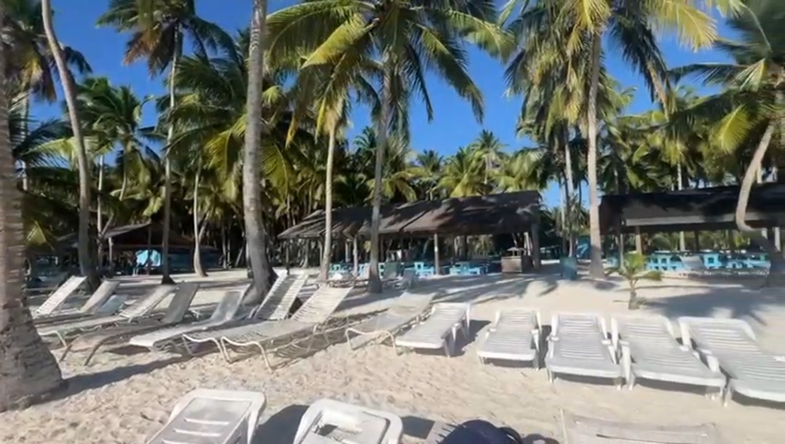 Isla Saona image 5