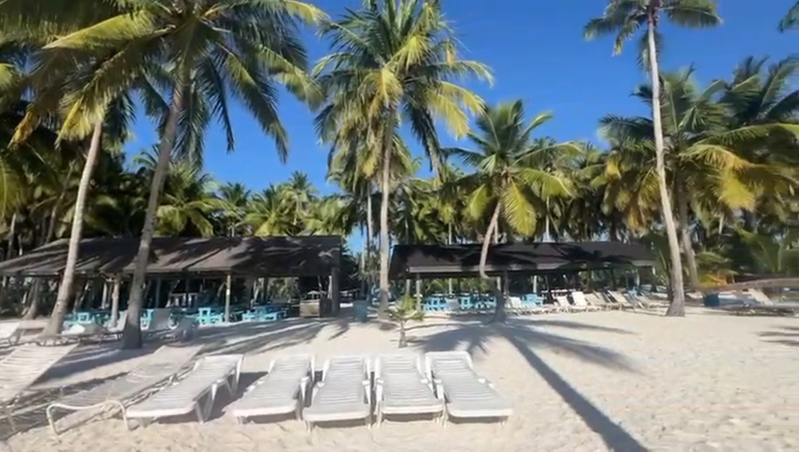 Isla Saona image 6