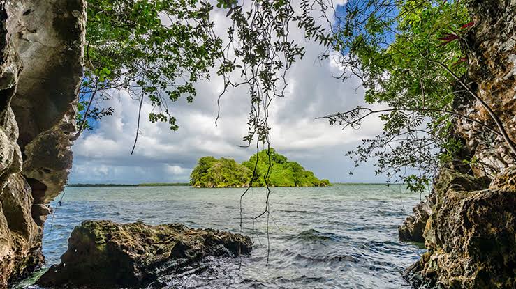 Los Haitises image 2