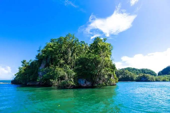 Samaná image 2