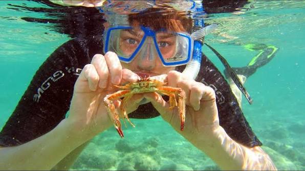 Snorkeling 1
