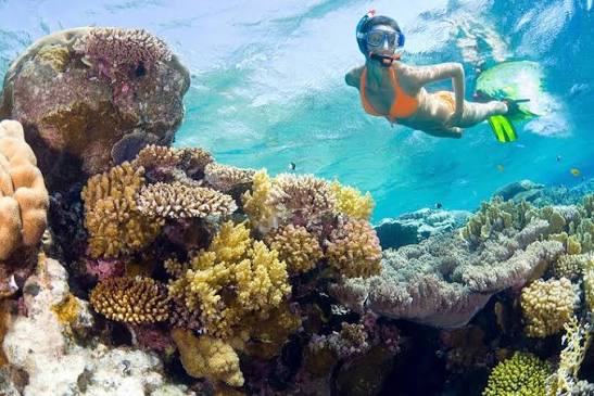 Snorkeling 3