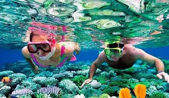 Snorkeling 4