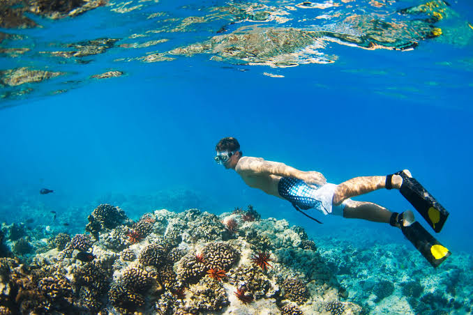 Snorkeling 6